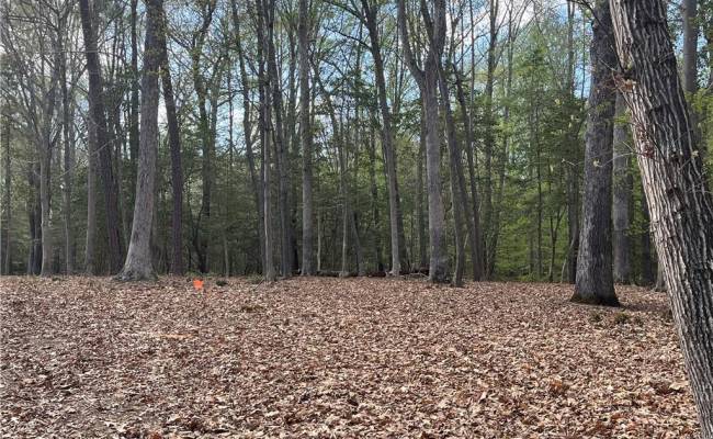Lot 2 Eagle Lane , Surry County, VA 23883