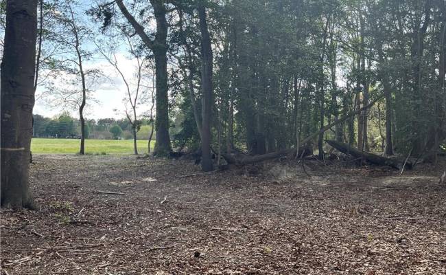 Lot 2 Eagle Lane , Surry County, VA 23883