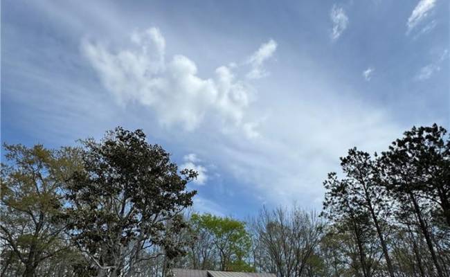 4.51AC Hog Island Road, Surry County, VA 23883