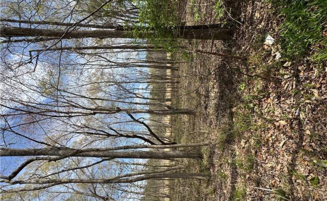4.51AC Hog Island Road, Surry County, VA 23883