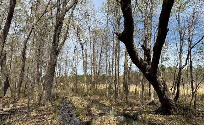 4.51AC Hog Island Road, Surry County, VA 23883