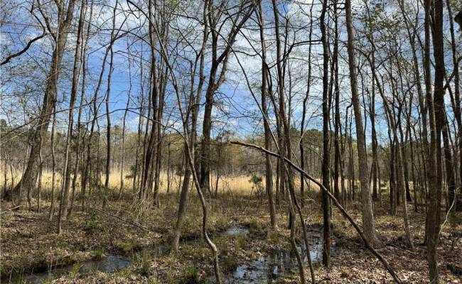 4.51AC Hog Island Road, Surry County, VA 23883