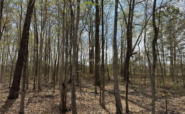 4.51AC Hog Island Road, Surry County, VA 23883