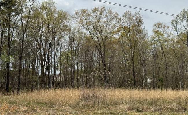 4.51AC Hog Island Road, Surry County, VA 23883