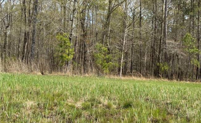 4.51AC Hog Island Road, Surry County, VA 23883