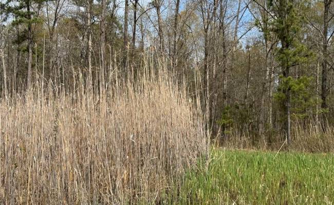4.51AC Hog Island Road, Surry County, VA 23883