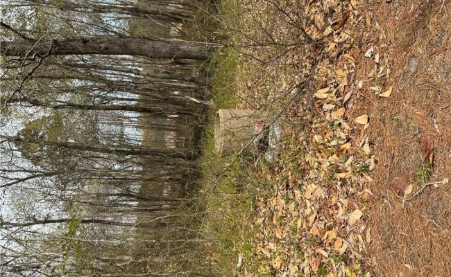 4.51AC Hog Island Road, Surry County, VA 23883