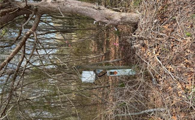 4.51AC Hog Island Road, Surry County, VA 23883