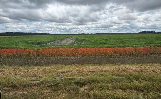 737 Bedford Street, Chesapeake, VA 23322