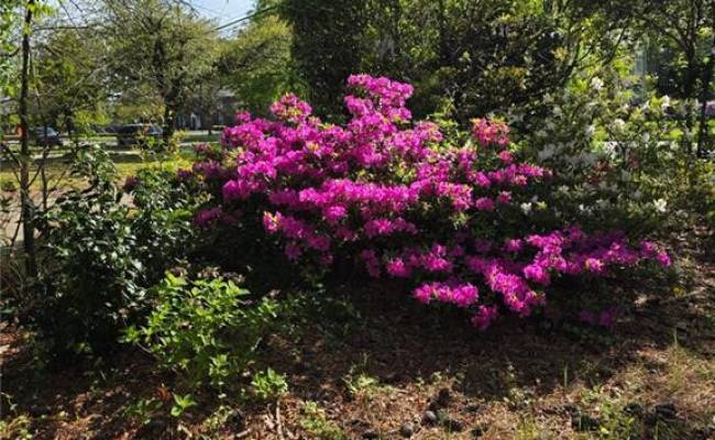 5812 Granby Street, Norfolk, VA 23505