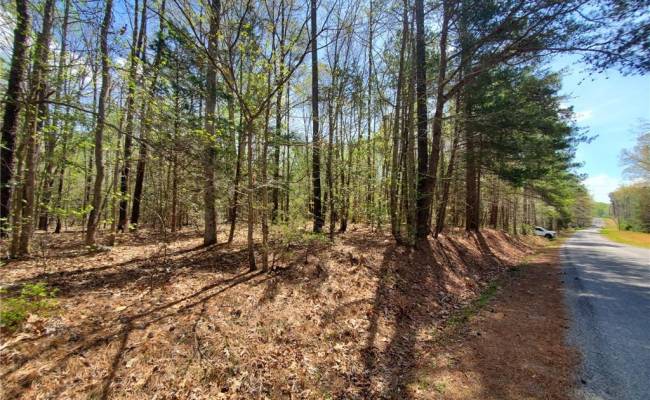 5.1+AC Monguy Road, Charles City County, VA 23030