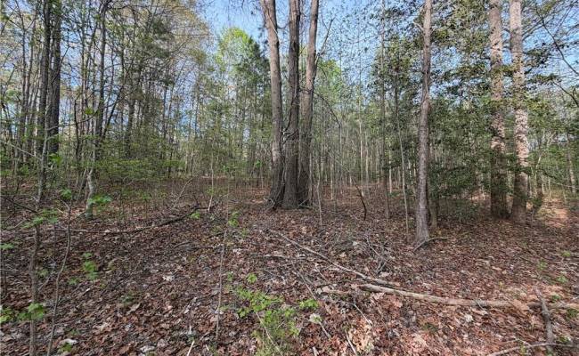 5.1+AC Monguy Road, Charles City County, VA 23030