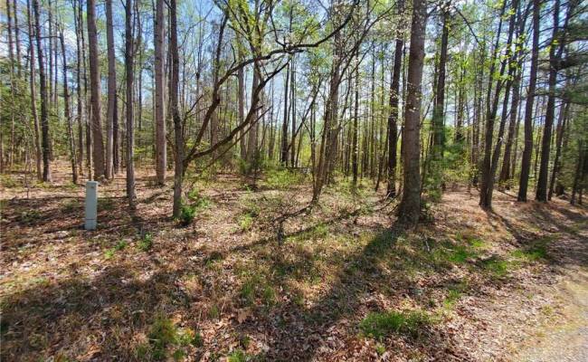 5.1+AC Monguy Road, Charles City County, VA 23030