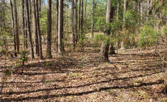 5.1+AC Monguy Road, Charles City County, VA 23030