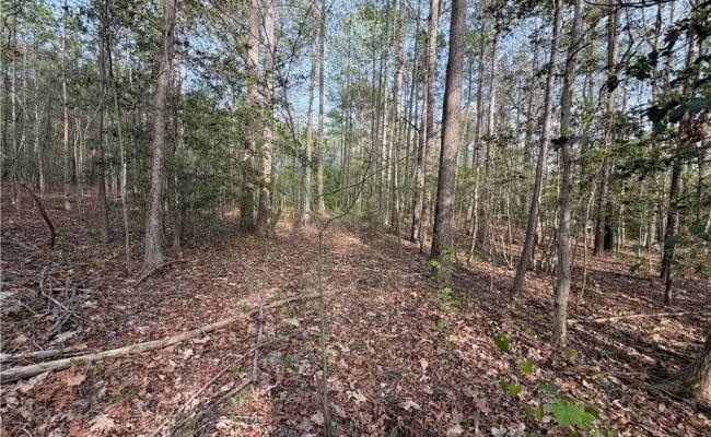 5.1+AC Monguy Road, Charles City County, VA 23030