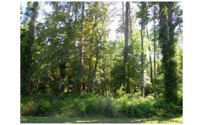 816 Ship Point Road, York County, VA 23692