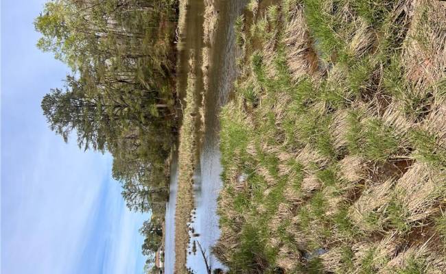 1.1+AC East West Parkway, Gloucester County, VA 23061