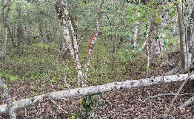 4.89ac Waterside Drive, New Kent County, VA 23089