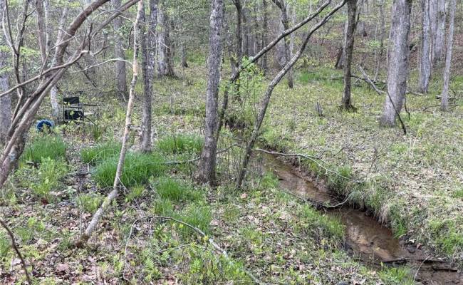 4.89ac Waterside Drive, New Kent County, VA 23089