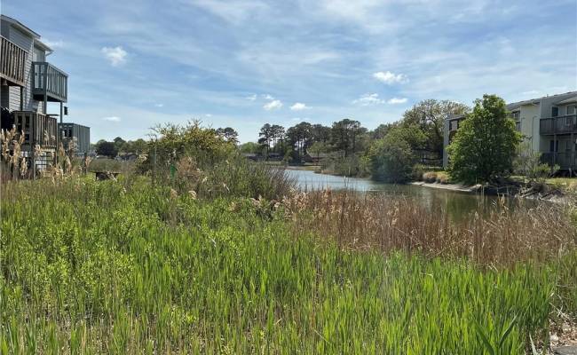 9530 16th Bay Street, Norfolk, VA 23518