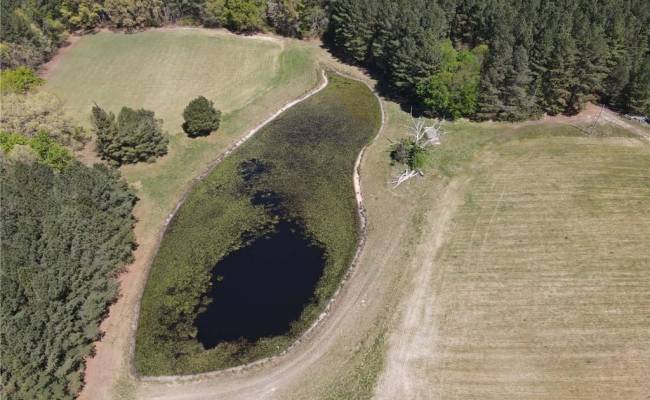 209 AC Five Forks Road, Brunswick County, VA 23856