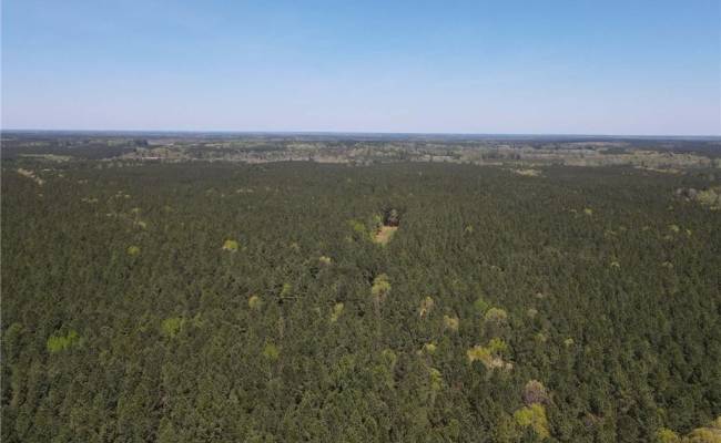 209 AC Five Forks Road, Brunswick County, VA 23856