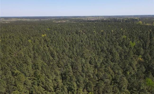 209 AC Five Forks Road, Brunswick County, VA 23856