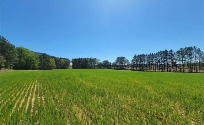 209 AC Five Forks Road, Brunswick County, VA 23856