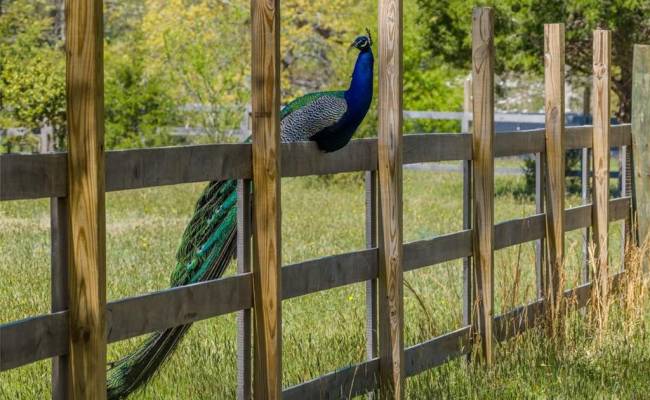 1.45ac Dancers Creek, Gloucester County, VA 23050