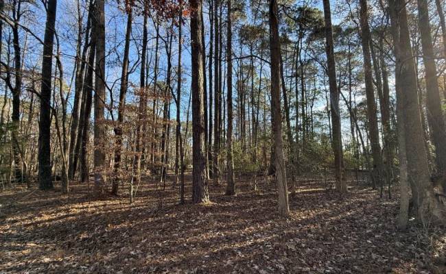 17-C Comanche Trail, Perquimans County, NC 27944
