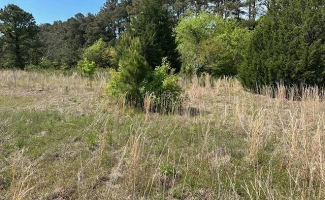 Lot 2 Howell Road, Currituck County, NC 27947