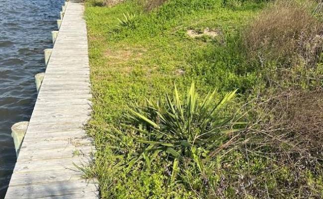 Lot 2 Howell Road, Currituck County, NC 27947