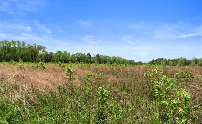 909 Murphys Mill Road, Suffolk, VA 23434