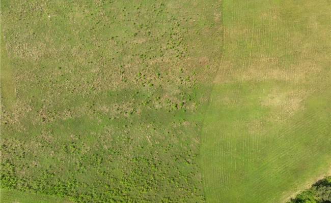 909 Murphys Mill Road, Suffolk, VA 23434