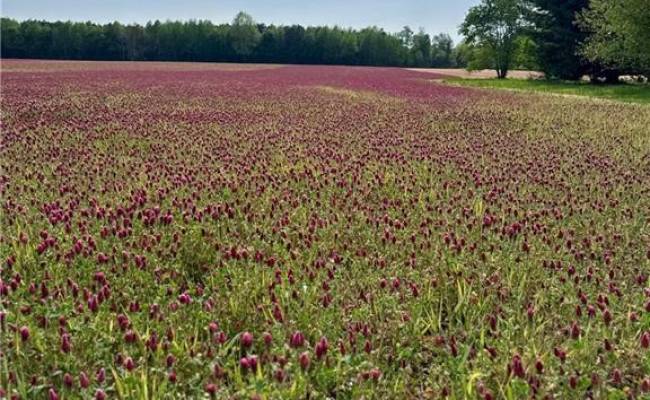21AC Murphy Mill Road, Isle of Wight County, VA 23487