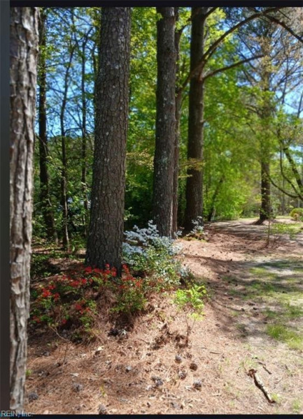Photo 35 of 43 residential for sale in Mathews County virginia