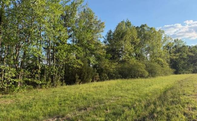 2.41AC Carrsville Highway, Isle of Wight County, VA 23315 photo 2