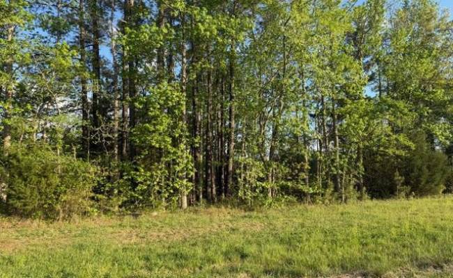 2.41AC Carrsville Highway, Isle of Wight County, VA 23315 photo 3