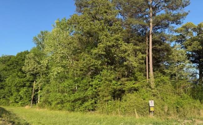 2.41AC Carrsville Highway, Isle of Wight County, VA 23315 photo 4
