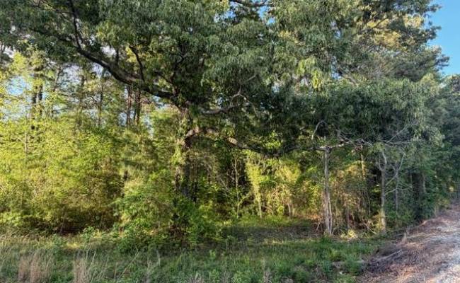 2.41AC Carrsville Highway, Isle of Wight County, VA 23315 photo 6