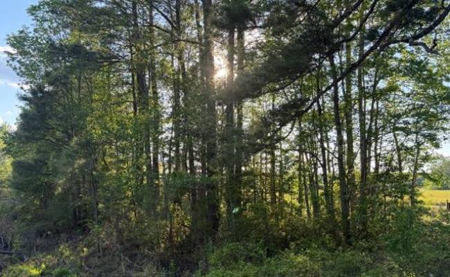 2.41AC Carrsville Highway, Isle of Wight County, VA 23315 photo 7