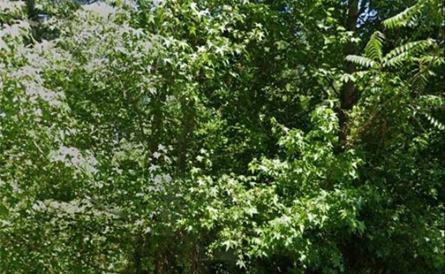 10765 Camp Pond Road, Suffolk, VA 23437