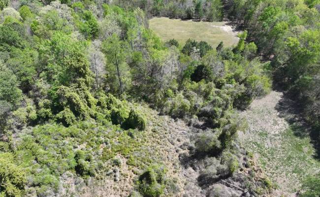 001 Pennsylvania Avenue, Surry County, VA 23899