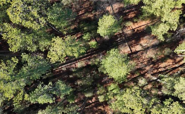 Lot A Rollins Street, Poquoson, VA 23662