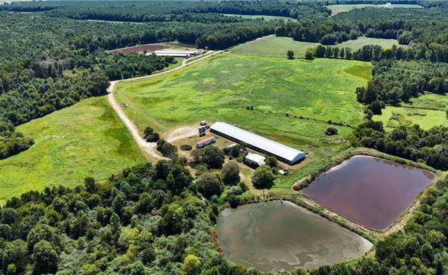 27950 Garris Mill Road, Southampton County, VA 23827