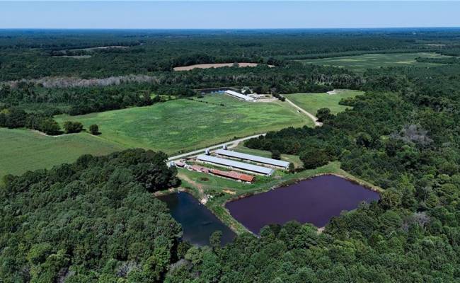 27950 Garris Mill Road, Southampton County, VA 23827