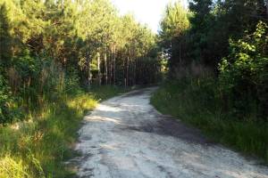 801 Brick Yard Road, Greensville County, VA 23847