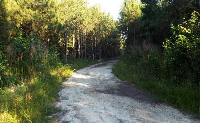 801 Brick Yard Road, Greensville County, VA 23847