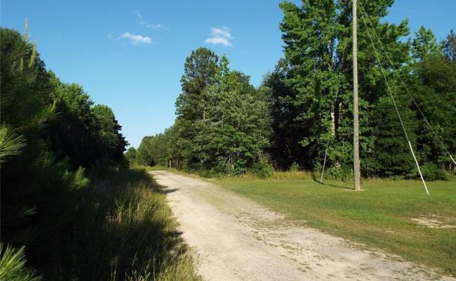 801 Brick Yard Road, Greensville County, VA 23847 photo 3