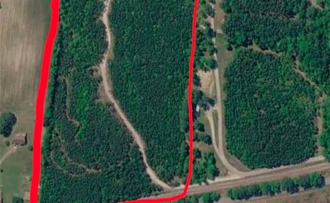 801 Brick Yard Road, Greensville County, VA 23847 photo 7